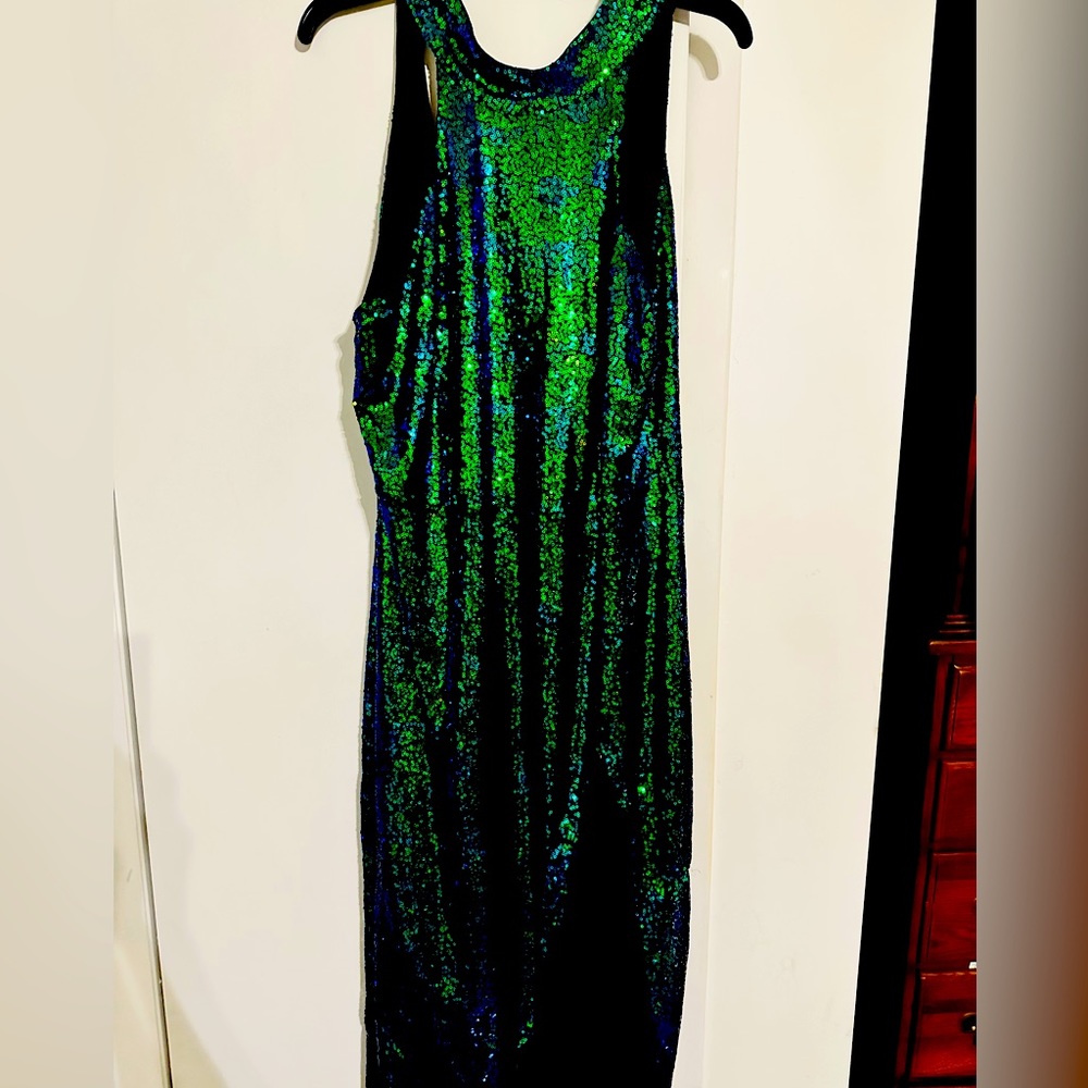 Green sequin gown.  Worn once for 3 hour MardiGras Ball.